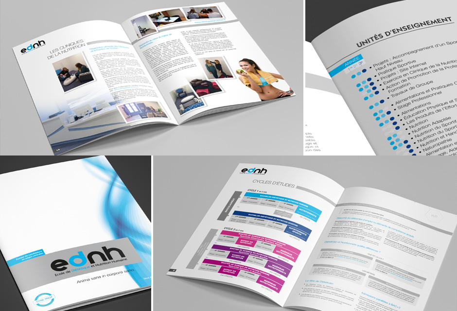 Brochure EDNH